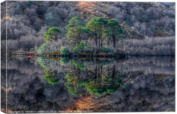Majestic Scots Pines Reflecting on Loch Eilt Canvas Print by AMANDA AINSLEY
