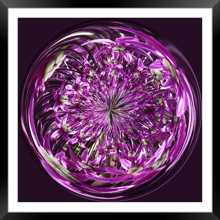 Spherical Purple Haze Framed Mounted Print by Robert Gipson