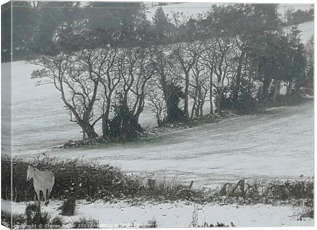 Solitary in Snow Canvas Print by Steven Porter