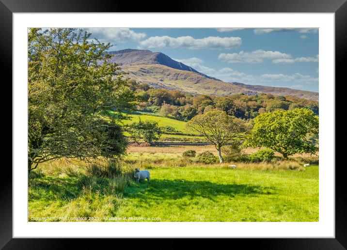 Lovely scenery near Beddgelert Snowdonia  Framed Mounted Print by Phil Longfoot