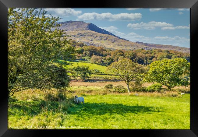 Lovely scenery near Beddgelert Snowdonia  Framed Print by Phil Longfoot