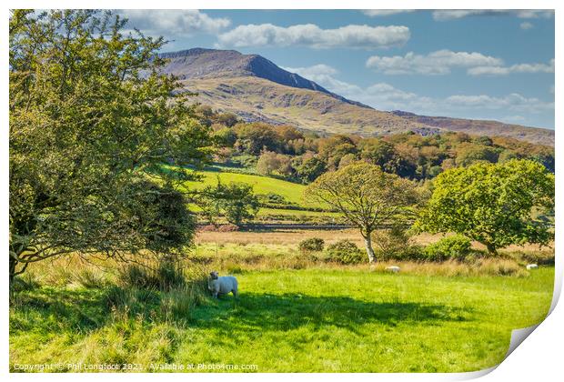 Lovely scenery near Beddgelert Snowdonia  Print by Phil Longfoot