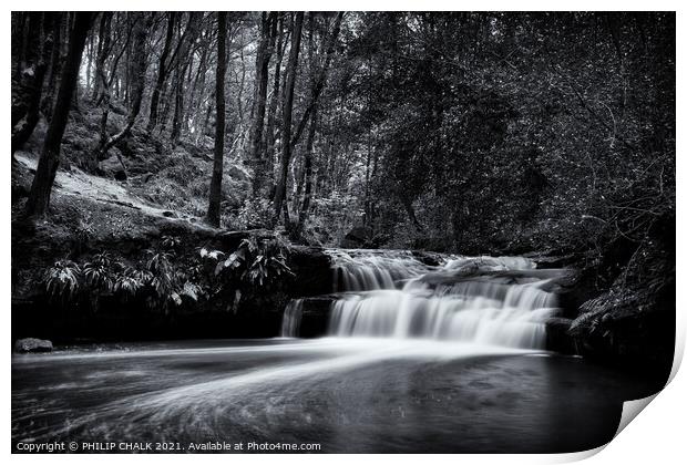 Goit Stock waterfall in a forest  Print by PHILIP CHALK