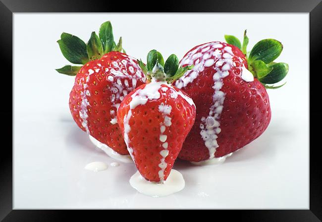 Strawberries and cream Framed Print by Chris Day