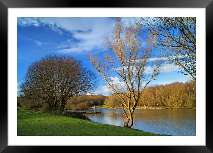 Dearne Valley Country Park Framed Mounted Print by Darren Galpin