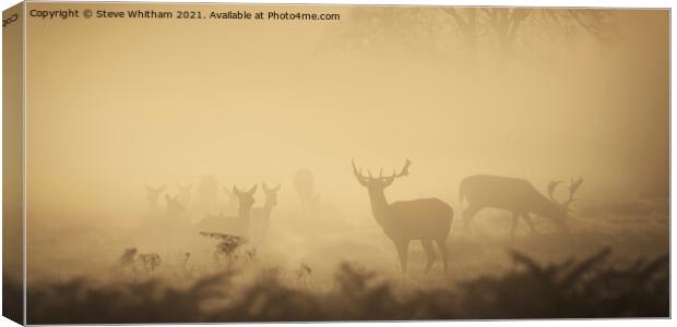 Early Light of Autumn Panorama. Canvas Print by Steve Whitham