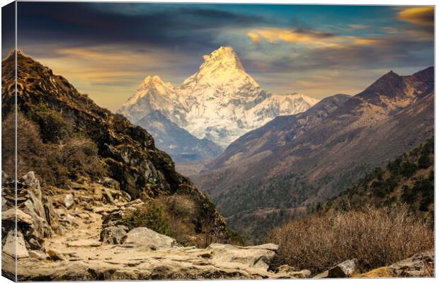 Evening view Himalaya mountains. Canvas Print by Sergey Fedoskin