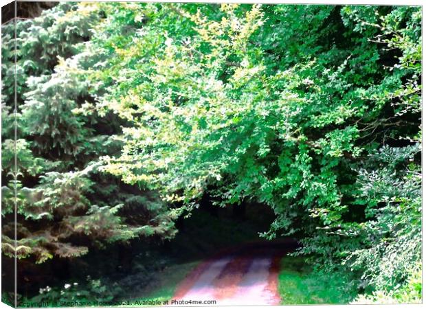 Leafy Tunnel Canvas Print by Stephanie Moore