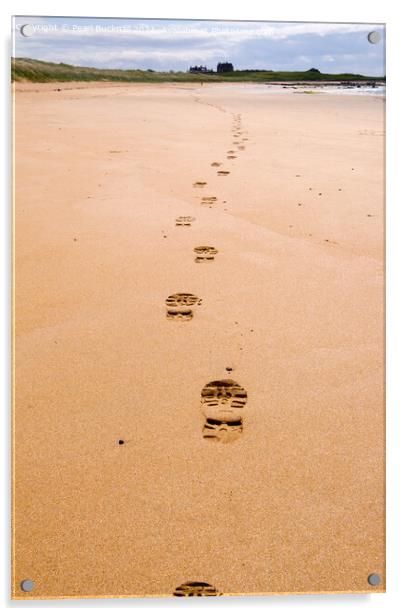 Footprints on Fife Coastal Path Across a Beach Acrylic by Pearl Bucknall