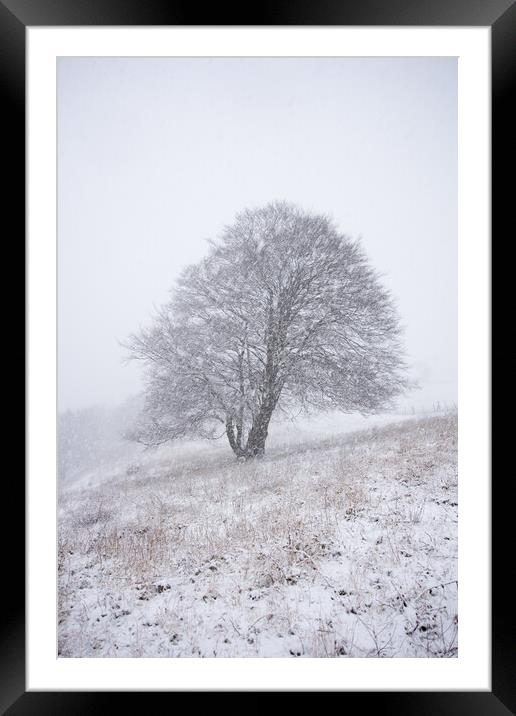 Dunstable Downs in Winter Framed Mounted Print by Graham Custance