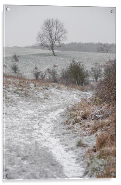 Dunstable Downs in Winter  Acrylic by Graham Custance