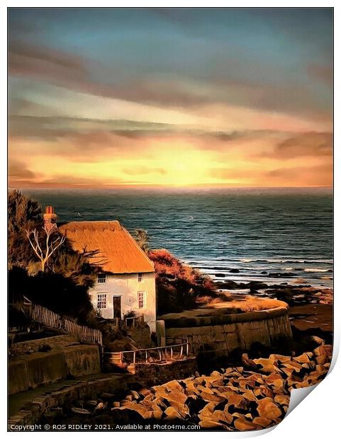 Cottage by the sea Print by ROS RIDLEY