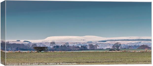 Snowy Cross Fell from Hutton Hall Farm, Teesdale Canvas Print by Richard Laidler