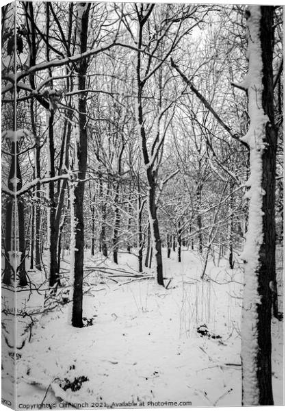 Monochrome forest Canvas Print by Cliff Kinch