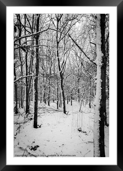 Monochrome forest Framed Mounted Print by Cliff Kinch