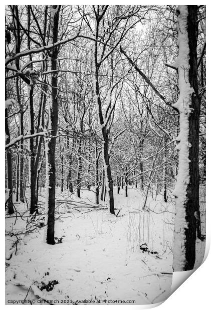 Monochrome forest Print by Cliff Kinch