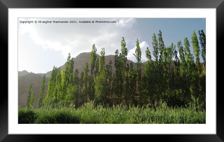 Majestic Mountainside in Shahrood Framed Mounted Print by Ali asghar Mazinanian