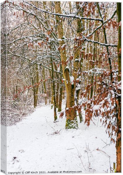 Snowy woodland path Canvas Print by Cliff Kinch