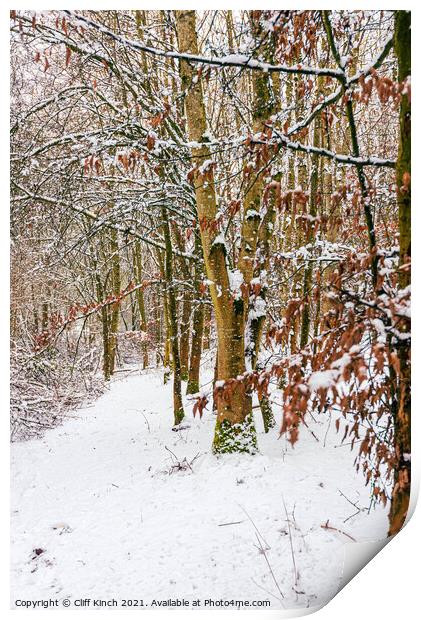 Snowy woodland path Print by Cliff Kinch