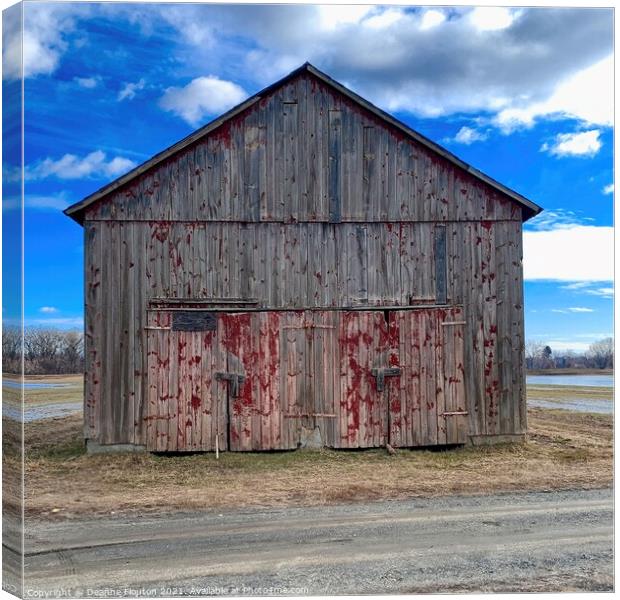 The Rustic Charm of Peeling Red Doors Canvas Print by Deanne Flouton