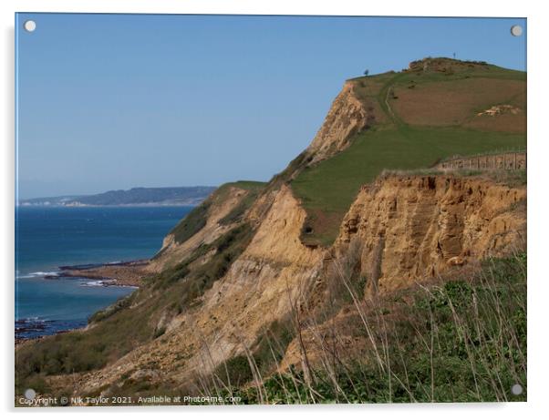 Dorset coastline Acrylic by Nik Taylor