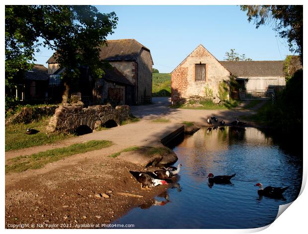 Ducks in the farmyard Print by Nik Taylor
