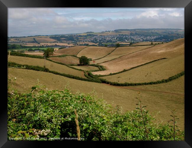 Rolling hills of rural Devon Framed Print by Nik Taylor