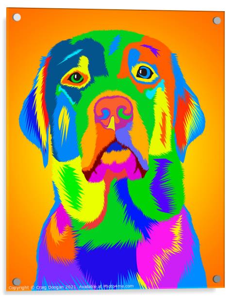 Labrador Art Acrylic by Craig Doogan