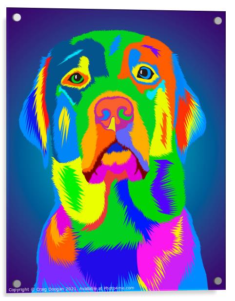 Labrador Vector Art  Acrylic by Craig Doogan