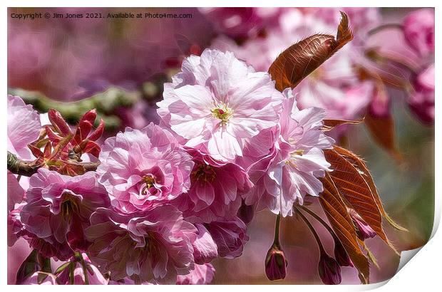 Artistic Cherry Blossom Print by Jim Jones