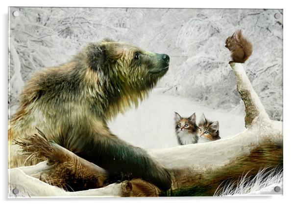 Banyan, Bobby and the Boys Bear canvas print Acrylic by Julie Hoddinott