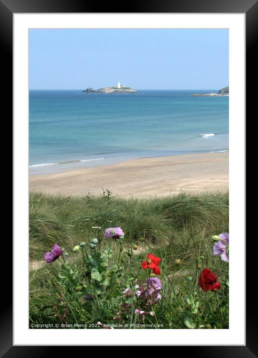 Wildflowers at Godrevy, Cornwall  Framed Mounted Print by Brian Pierce