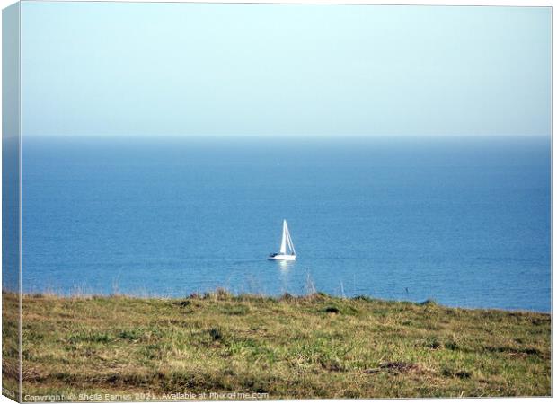 White Boat sailing round Berry Head in Devon Canvas Print by Sheila Eames