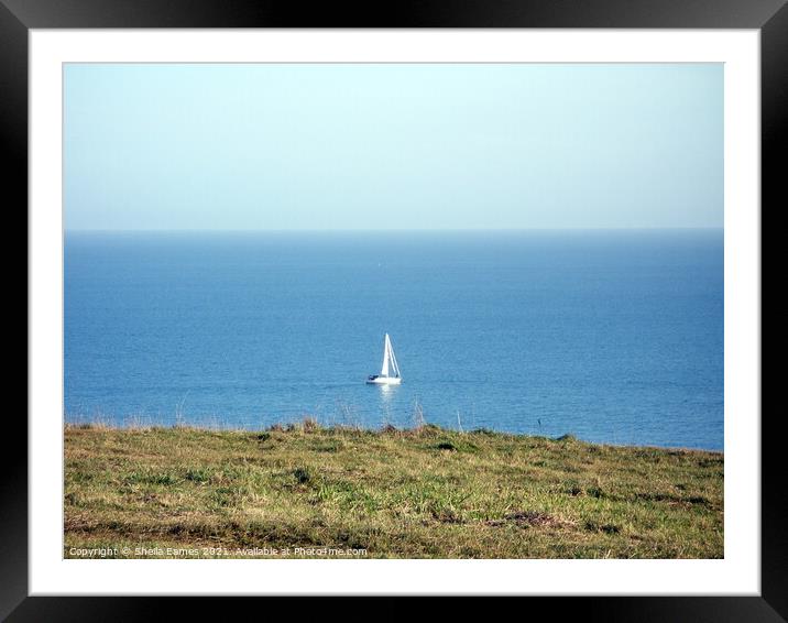 White Boat sailing round Berry Head in Devon Framed Mounted Print by Sheila Eames