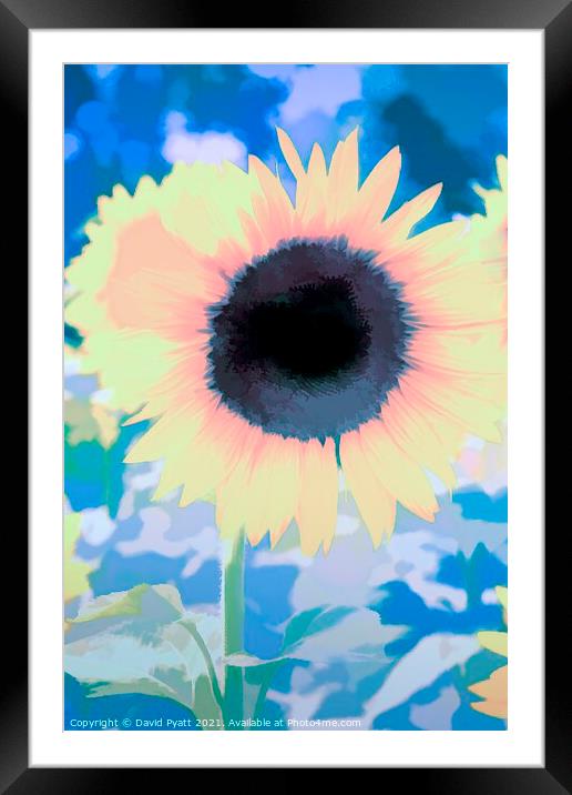Sunflower From The Blue Art Framed Mounted Print by David Pyatt
