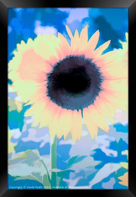 Sunflower From The Blue Art Framed Print by David Pyatt