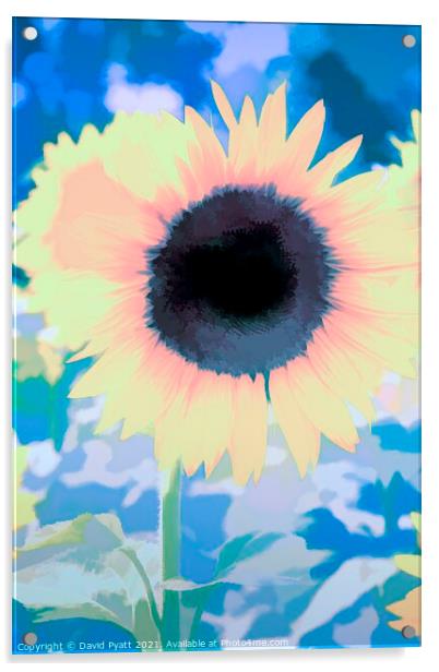 Sunflower From The Blue Art Acrylic by David Pyatt