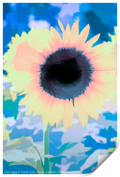 Sunflower From The Blue Art Print by David Pyatt