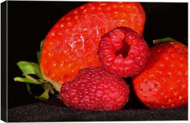 Raspberries and Strawberries Canvas Print by Reidy's Photos