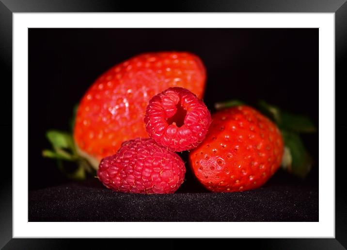 Berries up close Framed Mounted Print by Reidy's Photos