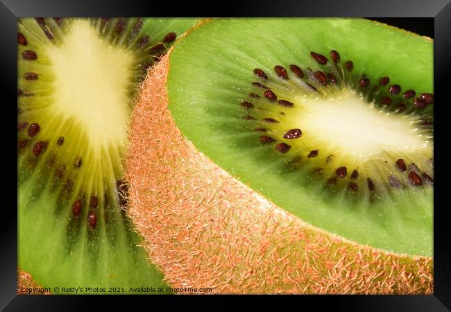 A close up of kiwi fruit Framed Print by Reidy's Photos