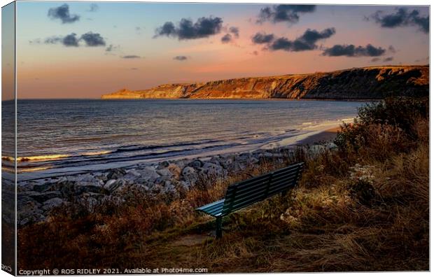 Take a seat at Runswick Bay Canvas Print by ROS RIDLEY