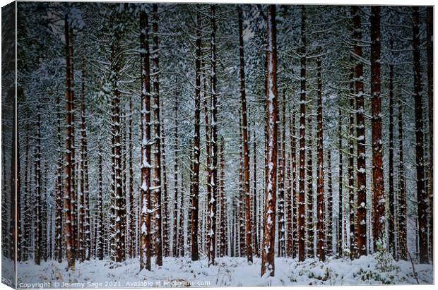 Into the Winter Wonderland Canvas Print by Jeremy Sage
