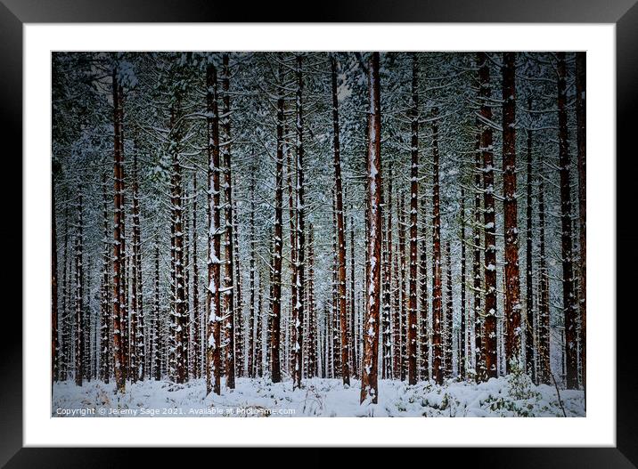 Into the Winter Wonderland Framed Mounted Print by Jeremy Sage