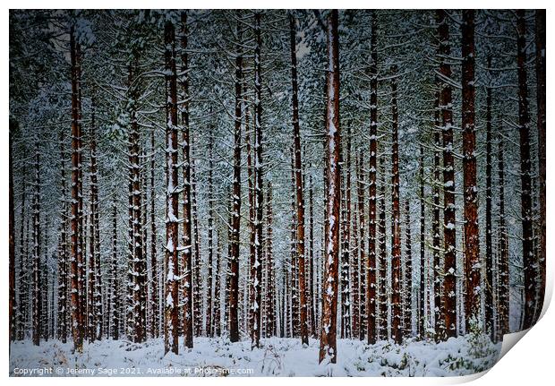 Into the Winter Wonderland Print by Jeremy Sage