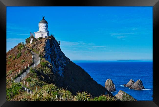 Nugget Point Lighthouse 4 - Catlins - New Zealand Framed Print by Steven Ralser