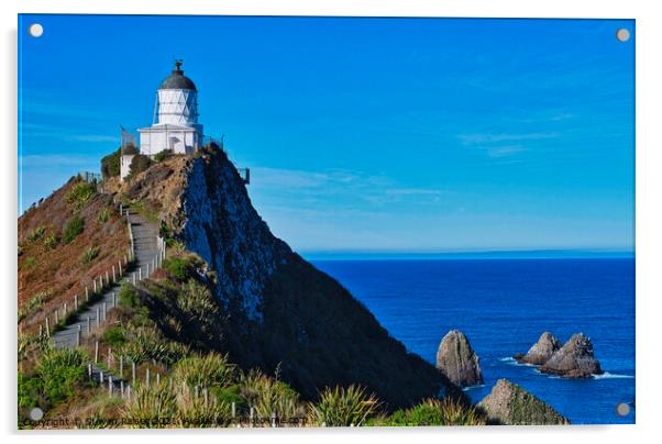 Nugget Point Lighthouse 4 - Catlins - New Zealand Acrylic by Steven Ralser