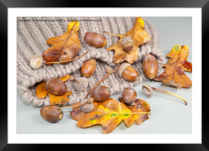 Acorns, dead leaves and cupules on a beanie Framed Mounted Print by aurélie le moigne