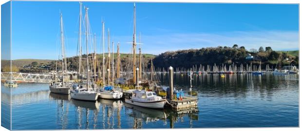 Boats moored up at Dartmouth, Devon  Canvas Print by Anthony Palmer-Greene