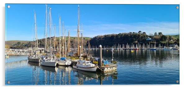 Boats moored up at Dartmouth, Devon  Acrylic by Anthony Palmer-Greene
